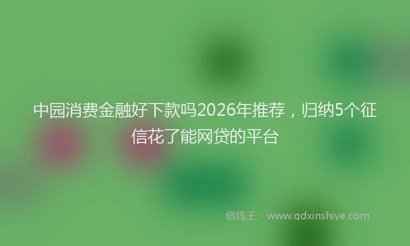 中园消费金融好下款吗2026年推荐，归纳5个征信花了能网贷的平台