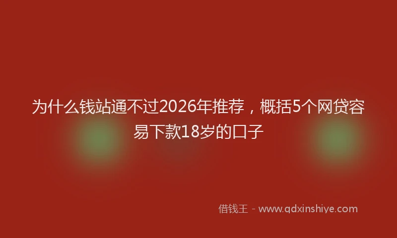 为什么钱站通不过2026年推荐，概括5个网贷容易下款18岁的口子