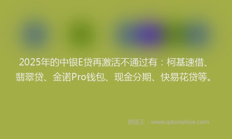 2025年的中银E贷再激活不通过有：柯基速借、翡翠贷、金诺Pro钱包、现金分期、快易花贷等。