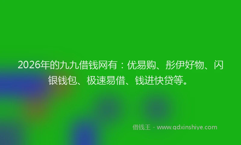 2026年的九九借钱网有：优易购、彤伊好物、闪银钱包、极速易借、钱进快贷等。