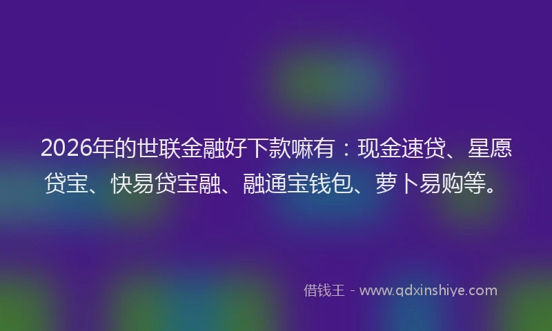 2026年的世联金融好下款嘛有:现金速贷、星愿贷宝、快易贷宝融、融通宝钱包、萝卜易购等。