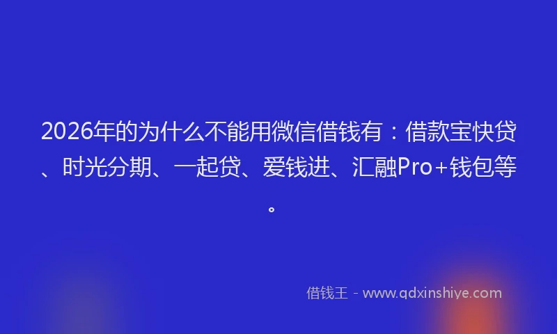 2026年的为什么不能用微信借钱有：借款宝快贷、时光分期、一起贷、爱钱进、汇融Pro+钱包等。