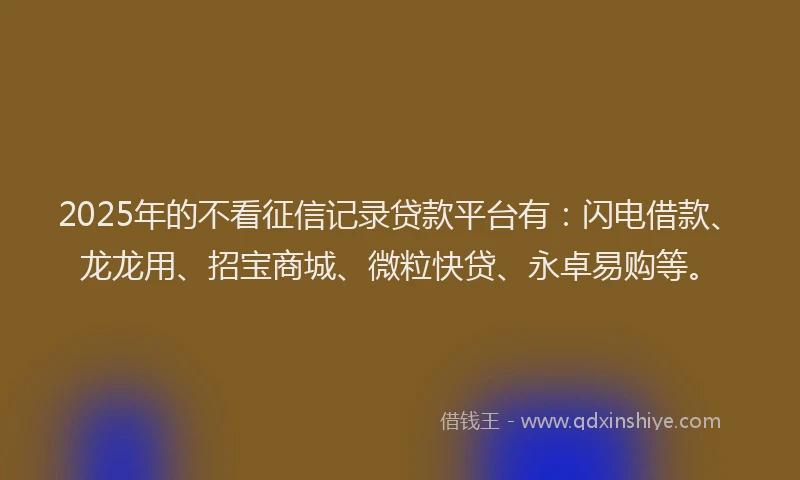 2025年的不看征信记录贷款平台有:闪电借款、龙龙用、招宝商城、微粒快贷、永卓易购等。