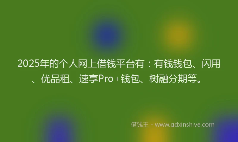 2025年的个人网上借钱平台有：有钱钱包、闪用、优品租、速享Pro+钱包、树融分期等。