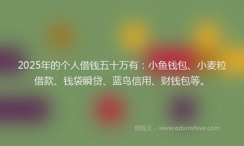2025年的个人借钱五十万有:小鱼钱包、小麦粒借款、钱袋瞬贷、蓝鸟信用、财钱包等。