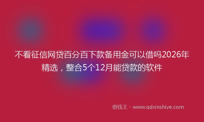 不看征信网贷百分百下款备用金可以借吗2026年精选，整合5个12月能贷款的软件