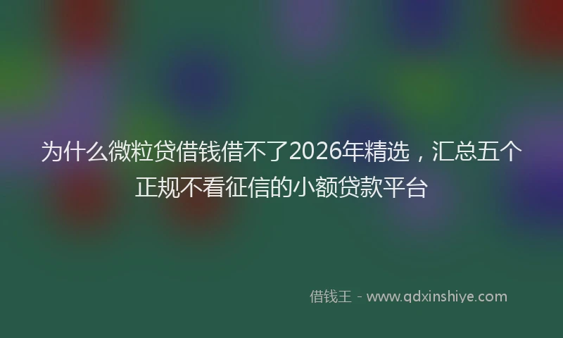 为什么微粒贷借钱借不了2026年精选，汇总五个正规不看征信的小额贷款平台