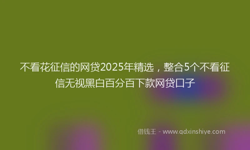不看花征信的网贷2025年精选，整合5个不看征信无视黑白百分百下款网贷口子