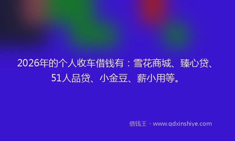2026年的个人收车借钱有：雪花商城、臻心贷、51人品贷、小金豆、薪小用等。