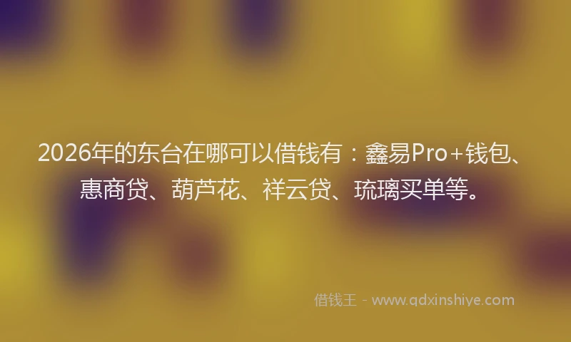 2026年的东台在哪可以借钱有：鑫易Pro+钱包、惠商贷、葫芦花、祥云贷、琉璃买单等。