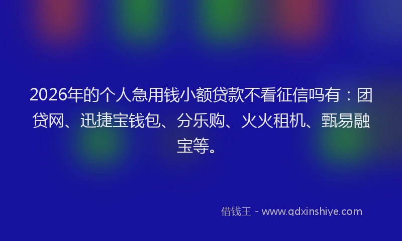 2026年的个人急用钱小额贷款不看征信吗有：团贷网、迅捷宝钱包、分乐购、火火租机、甄易融宝等。