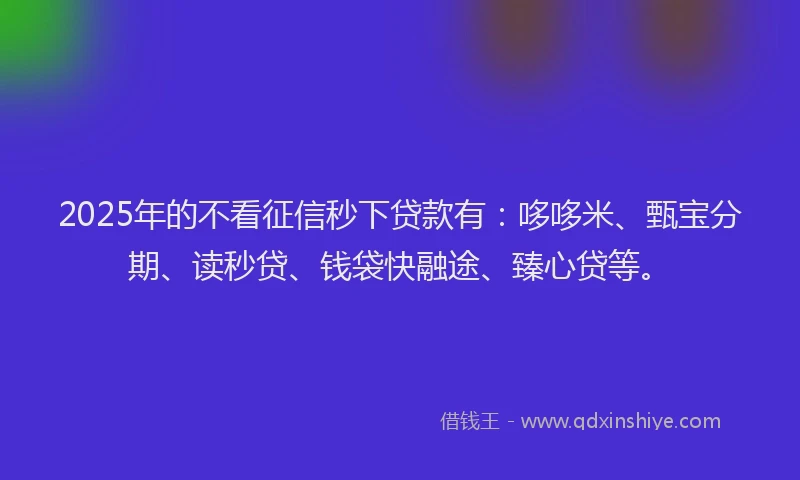 2025年的不看征信秒下贷款有：哆哆米、甄宝分期、读秒贷、钱袋快融途、臻心贷等。