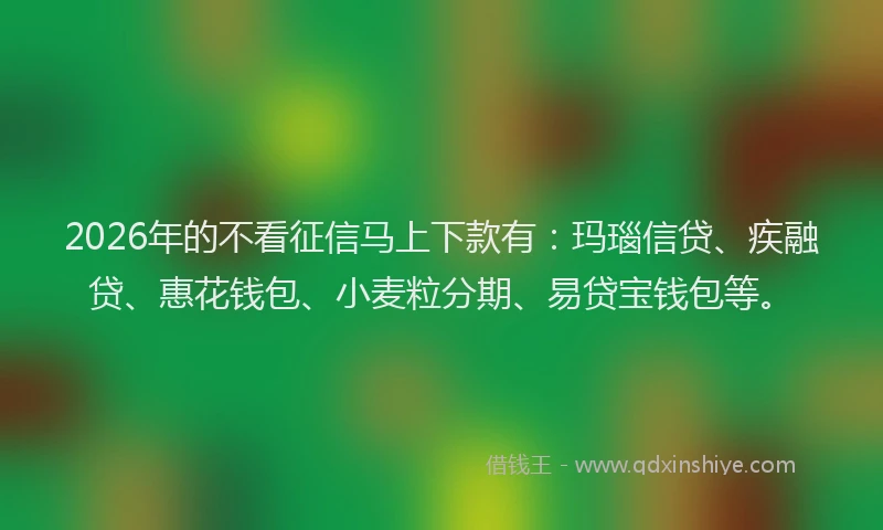 2026年的不看征信马上下款有：玛瑙信贷、疾融贷、惠花钱包、小麦粒分期、易贷宝钱包等。