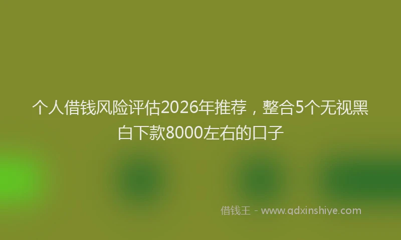 个人借钱风险评估2026年推荐，整合5个无视黑白下款8000左右的口子