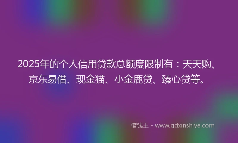 2025年的个人信用贷款总额度限制有：天天购、京东易借、现金猫、小金鹿贷、臻心贷等。