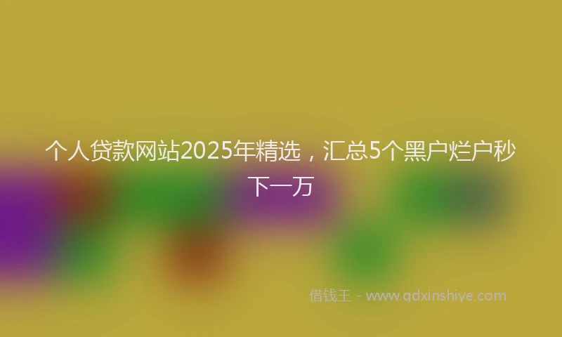 个人贷款网站2025年精选，汇总5个黑户烂户秒下一万