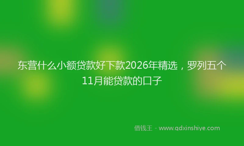 东营什么小额贷款好下款2026年精选,罗列五个11月能贷款的口子