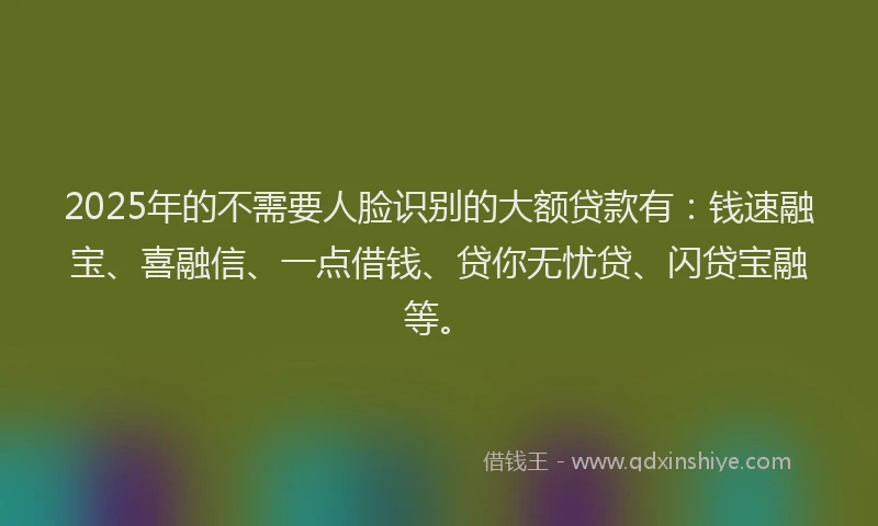 2025年的不需要人脸识别的大额贷款有：钱速融宝、喜融信、一点借钱、贷你无忧贷、闪贷宝融等。