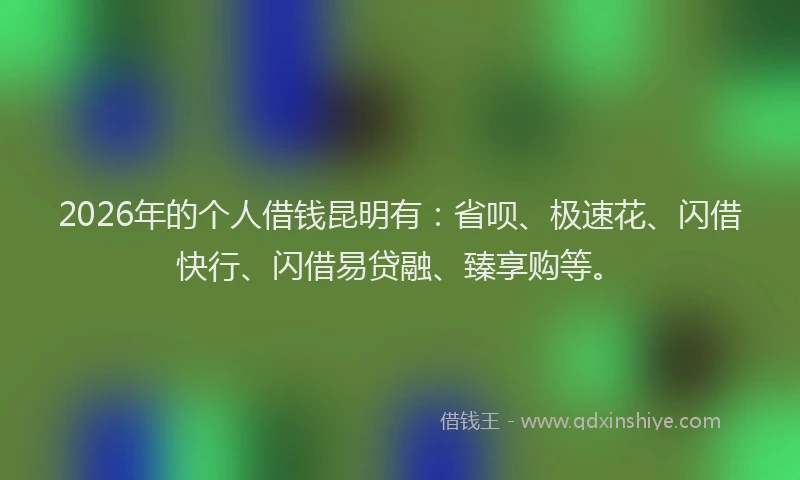 2026年的个人借钱昆明有：省呗、极速花、闪借快行、闪借易贷融、臻享购等。