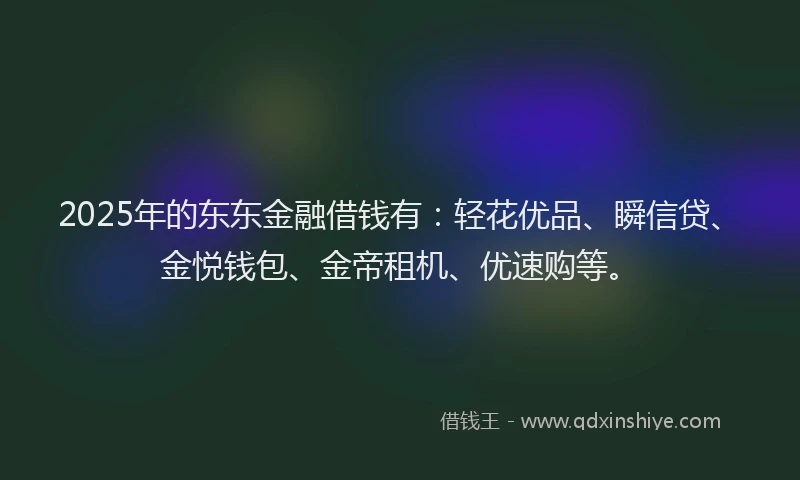 2025年的东东金融借钱有:轻花优品、瞬信贷、金悦钱包、金帝租机、优速购等。