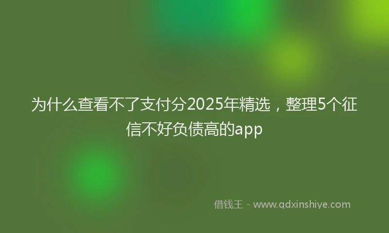 为什么查看不了支付分2025年精选，整理5个征信不好负债高的app