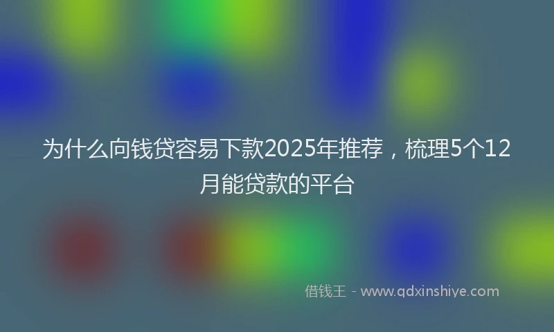 为什么向钱贷容易下款2025年推荐，梳理5个12月能贷款的平台