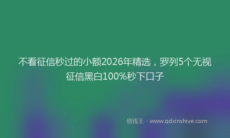 不看征信秒过的小额2026年精选，罗列5个无视征信黑白100%秒下口子