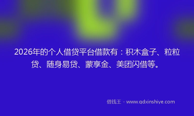 2026年的个人借贷平台借款有：积木盒子、粒粒贷、随身易贷、蒙享金、美团闪借等。