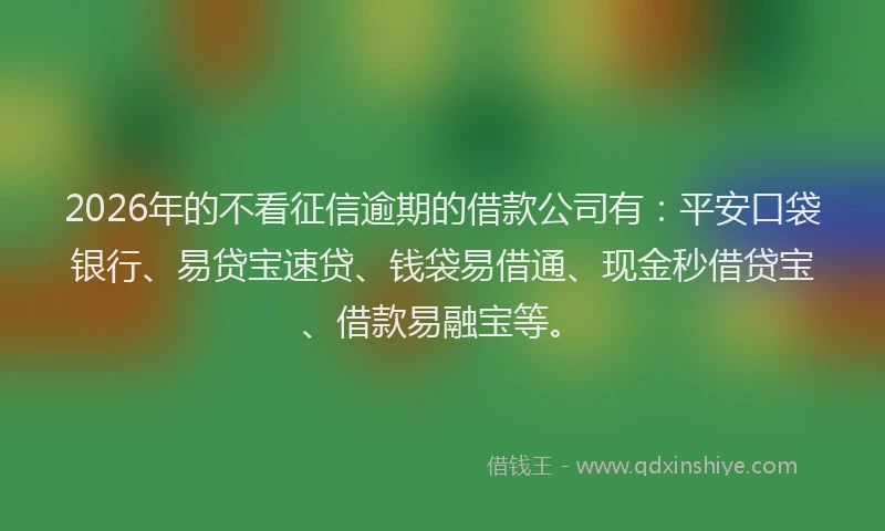 2026年的不看征信逾期的借款公司有：平安口袋银行、易贷宝速贷、钱袋易借通、现金秒借贷宝、借款易融宝等。