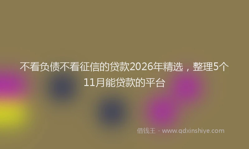 不看负债不看征信的贷款2026年精选，整理5个11月能贷款的平台