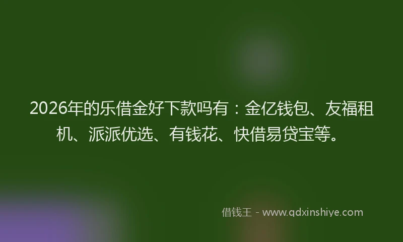 2026年的乐借金好下款吗有:金亿钱包、友福租机、派派优选、有钱花、快借易贷宝等。