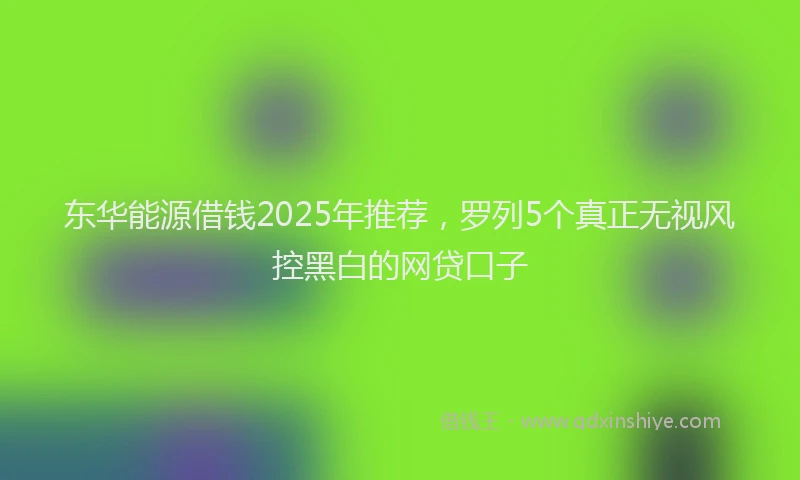 东华能源借钱2025年推荐,罗列5个真正无视风控黑白的网贷口子