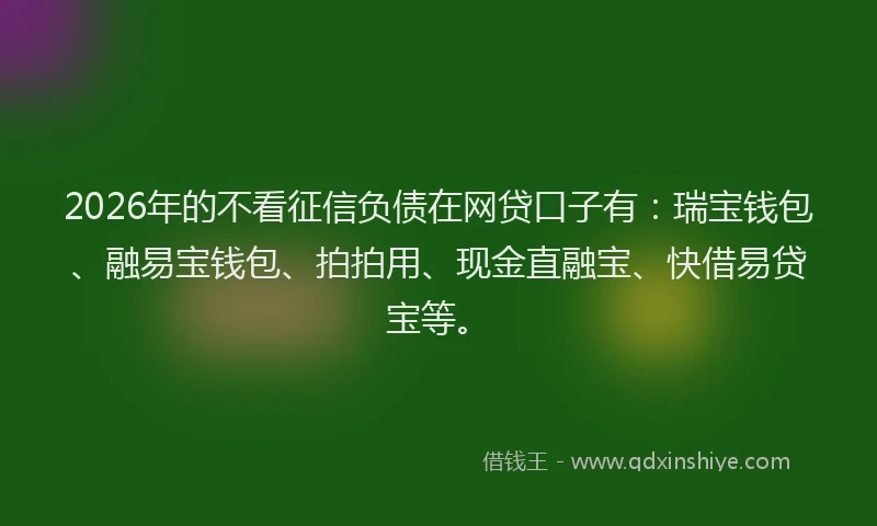 2026年的不看征信负债在网贷口子有:瑞宝钱包、融易宝钱包、拍拍用、现金直融宝、快借易贷宝等。