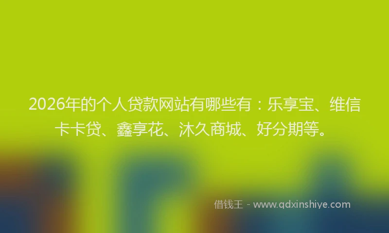 2026年的个人贷款网站有哪些有：乐享宝、维信卡卡贷、鑫享花、沐久商城、好分期等。