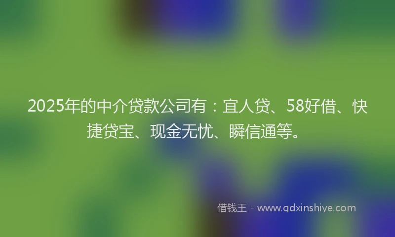 2025年的中介贷款公司有：宜人贷、58好借、快捷贷宝、现金无忧、瞬信通等。