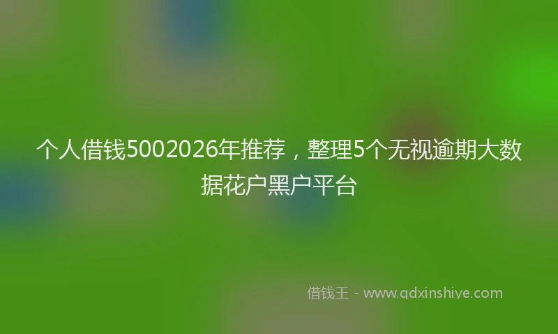 个人借钱5002026年推荐，整理5个无视逾期大数据花户黑户平台