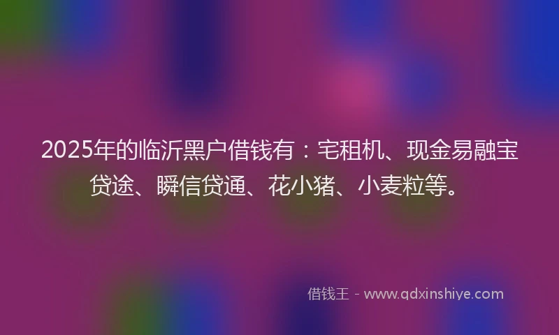 2025年的临沂黑户借钱有:宅租机、现金易融宝贷途、瞬信贷通、花小猪、小麦粒等。