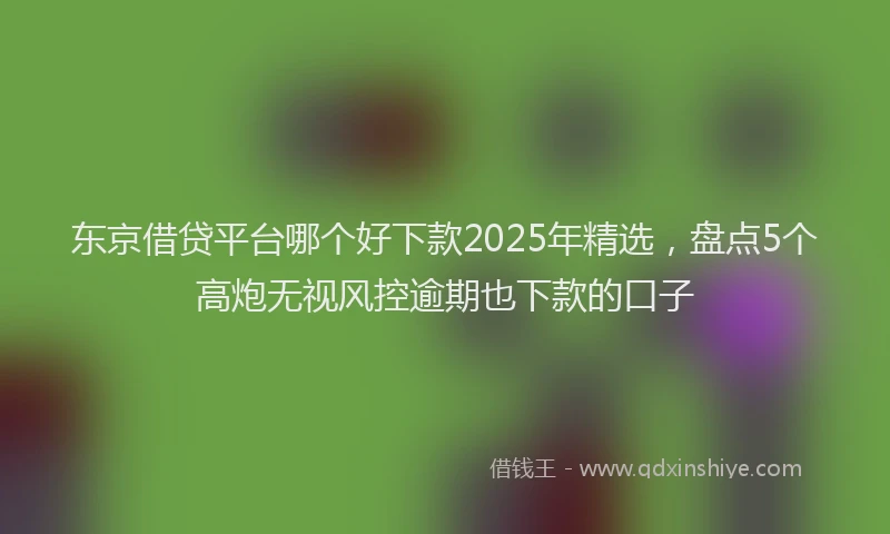 东京借贷平台哪个好下款2025年精选，盘点5个高炮无视风控逾期也下款的口子