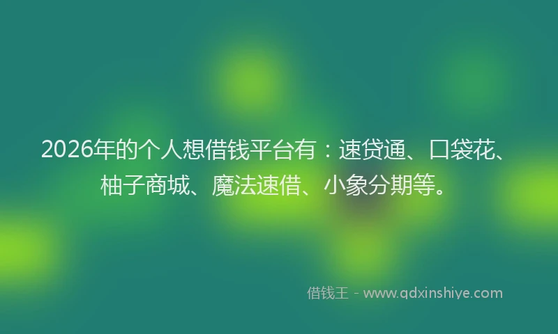2026年的个人想借钱平台有：速贷通、口袋花、柚子商城、魔法速借、小象分期等。
