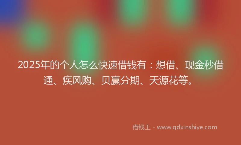 2025年的个人怎么快速借钱有：想借、现金秒借通、疾风购、贝赢分期、天源花等。