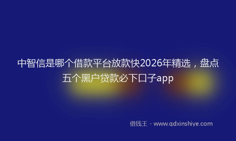 中智信是哪个借款平台放款快2026年精选，盘点五个黑户贷款必下口子app