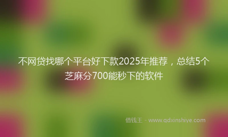 不网贷找哪个平台好下款2025年推荐，总结5个芝麻分700能秒下的软件