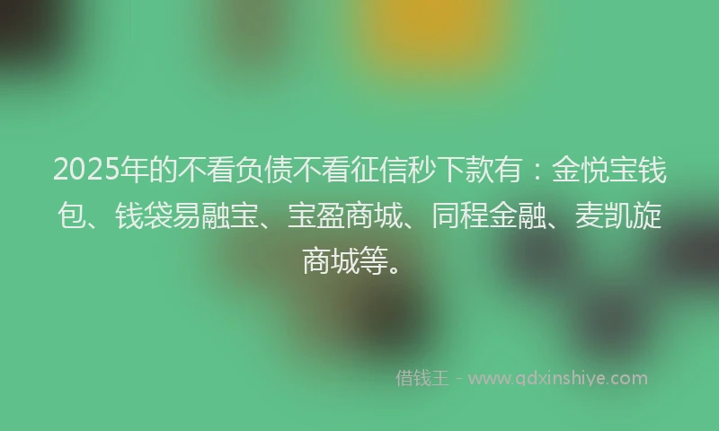 2025年的不看负债不看征信秒下款有：金悦宝钱包、钱袋易融宝、宝盈商城、同程金融、麦凯旋商城等。