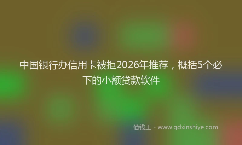 中国银行办信用卡被拒2026年推荐，概括5个必下的小额贷款软件