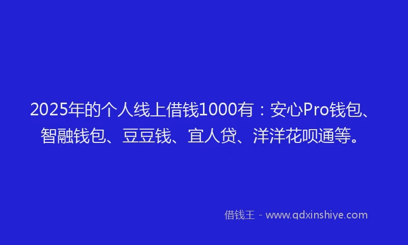 2025年的个人线上借钱1000有：安心Pro钱包、智融钱包、豆豆钱、宜人贷、洋洋花呗通等。