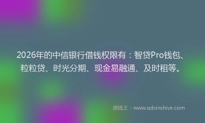 2026年的中信银行借钱权限有：智贷Pro钱包、粒粒贷、时光分期、现金易融通、及时租等。