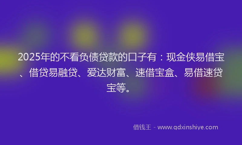 2025年的不看负债贷款的口子有：现金侠易借宝、借贷易融贷、爱达财富、速借宝盒、易借速贷宝等。