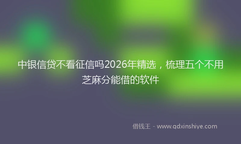 中银信贷不看征信吗2026年精选，梳理五个不用芝麻分能借的软件