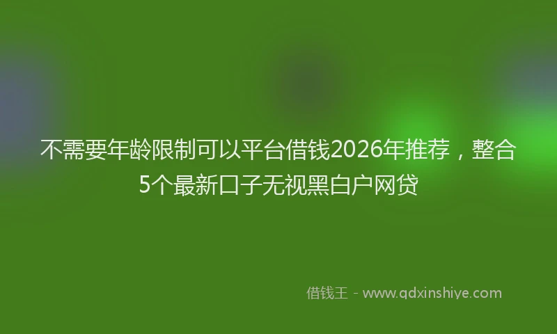 不需要年龄限制可以平台借钱2026年推荐，整合5个最新口子无视黑白户网贷