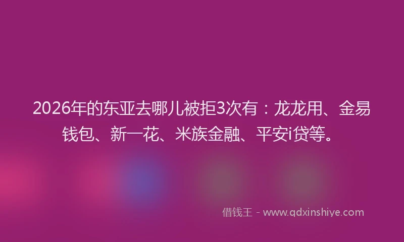 2026年的东亚去哪儿被拒3次有：龙龙用、金易钱包、新一花、米族金融、平安i贷等。